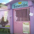 Ave de Paraiso