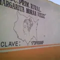 Margarita Moran Veliz
