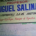 Profr. Miguel Salinas