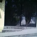 Pedro Amaro