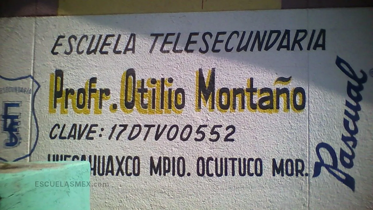 Profesor Otilio Montaño Entrada