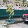 Plan de Ayala