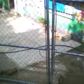 Heroes de Morelos