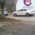 Colegio Bilingue Moderno de Cuernavaca