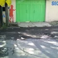 Colegio Montessori de la Montaña