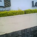 Loyola