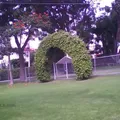 Centro Educativo Cocoyoc