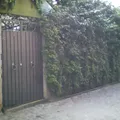 El Sabino