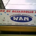 Pintando Sonrisas