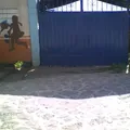 Teixtomani
