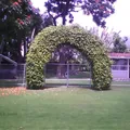 Centro Educativo Cocoyoc