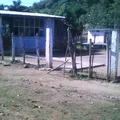 Niños Heroes