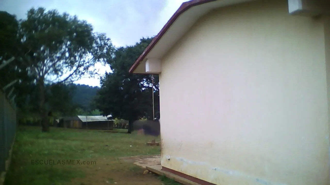 Valentin Gomez Farias Entrada