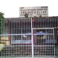 Enrique G. Elias