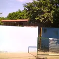 Maria Enriqueta Camarillo