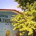 Tiaxhuzuill (azucena)