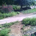 Rey Nayar