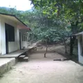 Moctezuma