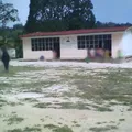 Belisario Dominguez