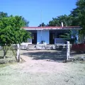 Francisco Villa