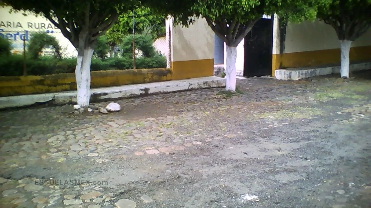 Aquiles Serdan Entrada