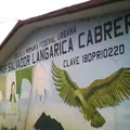 Salvador Langarica Cabrera
