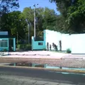 Jesus Romero Flores