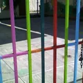 Nuevas Palomas