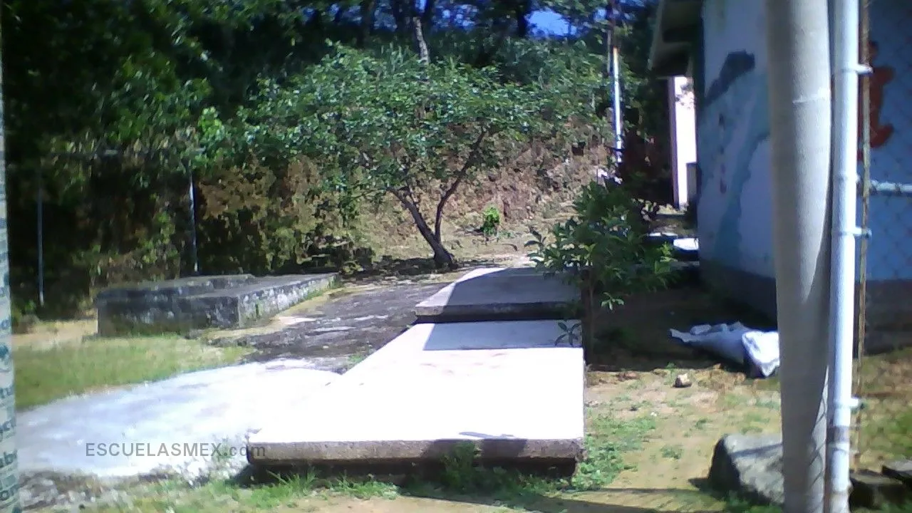 Antonio Carrillo Lozano Entrada