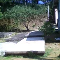Antonio Carrillo Lozano