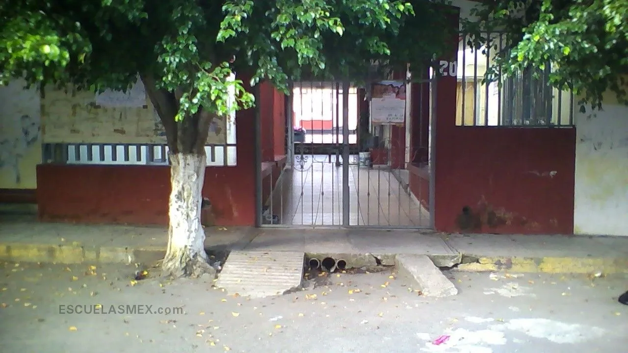 Miguel Hidalgo Entrada