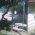 Indio Mariano