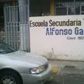 Alfonso Garcia Robles