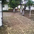 Eulogio Cardenas Gomez