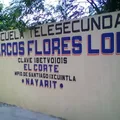 Marcos Flores Lopez