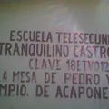 Tranquilino Castro Alanis