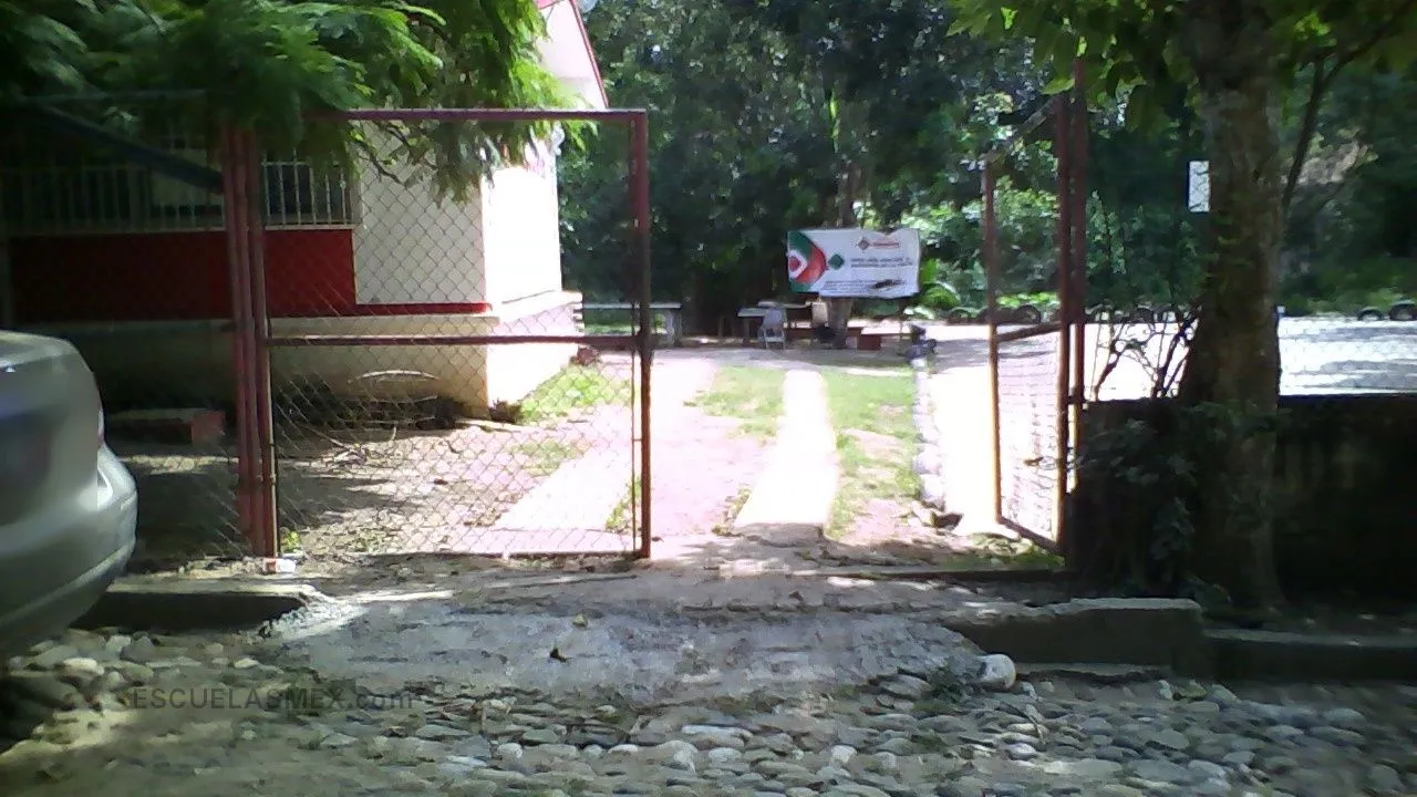 Rafael Ramirez Entrada