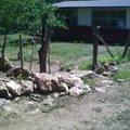 Lucio Carrillo