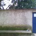 Preescolar Comunitario
