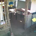 Cursos Comunitarios