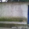 Primaria Comunitaria