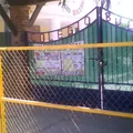Colegio Bucerias