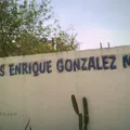 Enrique Gonzalez Martinez