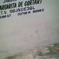 Margarita de Gortari Carvajal