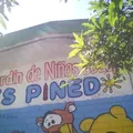 Dolores Pinedo Arce