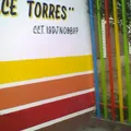 Alfredo Zalce Torres