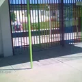 Juan Soriano