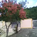 Lic. Luis de la Garza Paras
