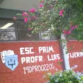 Profr. Luis Tijerina Almaguer
