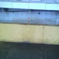 16 de Septiembre